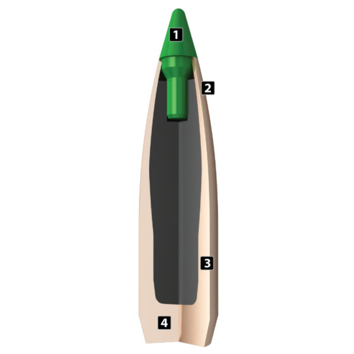 Palla Nosler Ballistic Tip Hunting .30